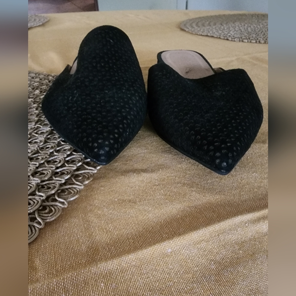 Hispanitas size 6.5